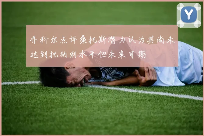 乔科尔点评桑托斯潜力认为其尚未达到托纳利水平但未来可期